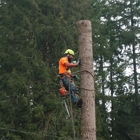 Pennella Tree Service