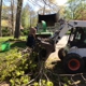 Arbor Care Tree Service