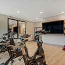 Delamarre at Celebration - Apartments