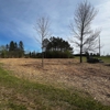 Buzzcut Forestry Services gallery