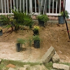 Garden of Eden Landscaping & Maintenance