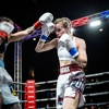 Dan's Gym Boxing, Muay Thai & Fitness gallery