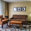 Comfort Inn & Suites gallery