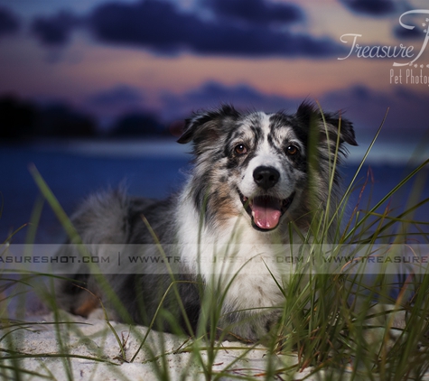 Treasure Shot Pet Photography - Mary Esther, FL