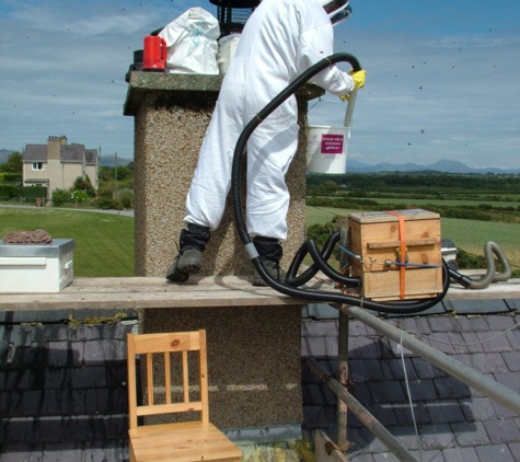 Mighty Ducts and Chimneys - San Diego, CA. cap has to be removed and cleaned