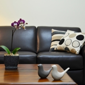 Gallery Image Number 2