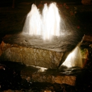 Niteliters - Landscape Designers & Consultants