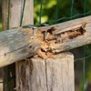 Fox Valley Fencing gallery