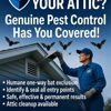 Genuine Pest Control gallery