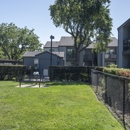 Pheasant Pointe - Apartments