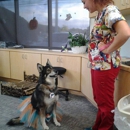 Animal Medical Clinic - Veterinarians