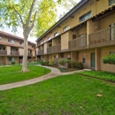 Wilbur Oaks Apartments - Apartments