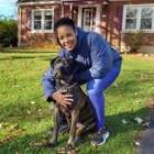 Underdog K-9 Academy