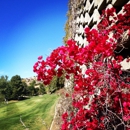 Calabasas Country Club - Golf Courses