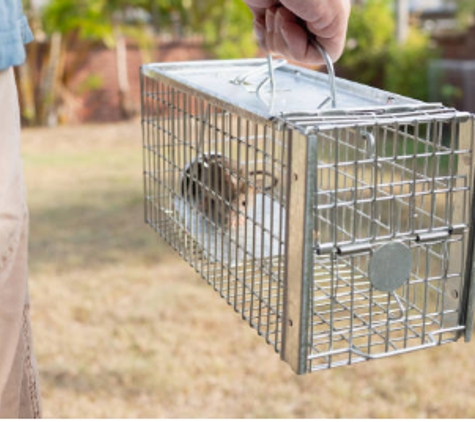 Finns Pest Control - Nethercote, NSW