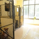 J.M. Pet Resort - Dog & Cat Grooming & Supplies