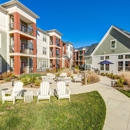 Giddy Hall Apartments - Apartments