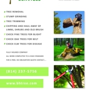 B & H Tree Service - Tree Service