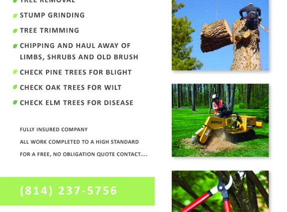 B & H Tree Service - Bellefonte, PA