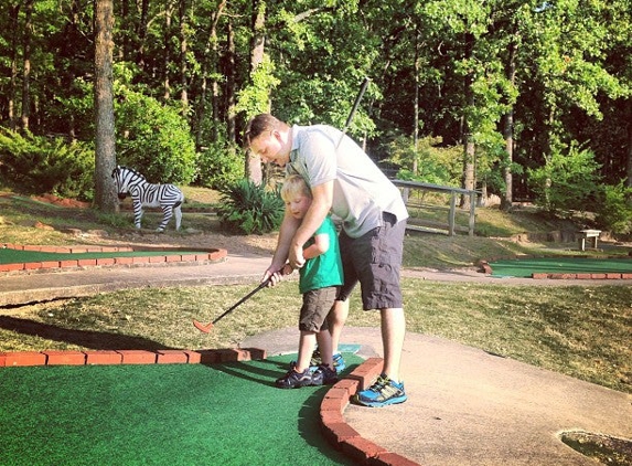 Gator Golf - Fayetteville, AR