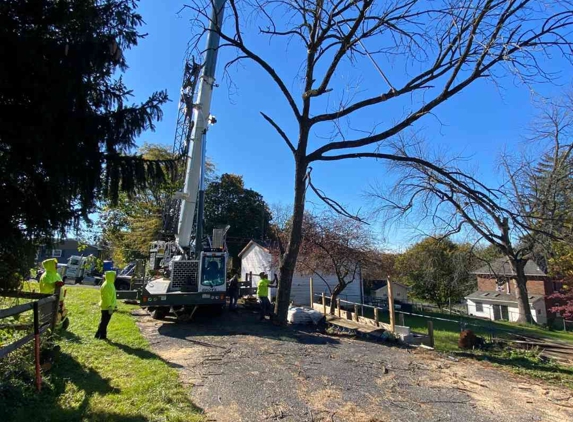 Christmas City Landscaping & Tree Service