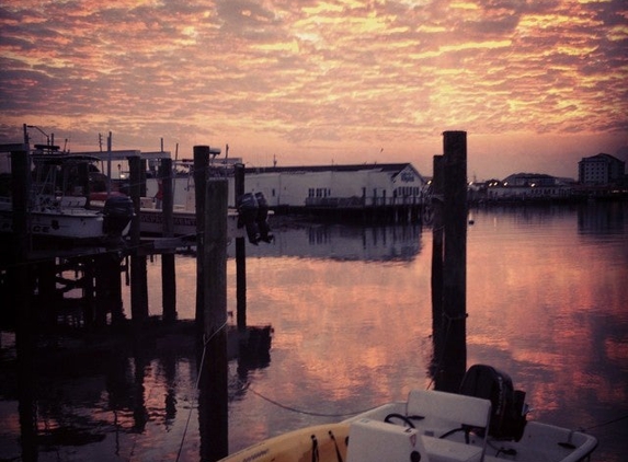 Olympus Dive Center - Morehead City, NC