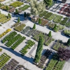 Moon Valley Nurseries gallery