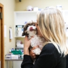 Palmetto Animal Hospital gallery