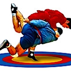 Sambo MMA