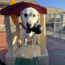 VCA Mountainview Animal Hospital & Pet Lodge - Veterinarians