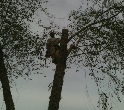 High Line Trees - Duluth, GA