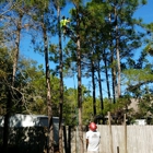 Schnelloggers Tree Service