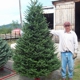 Beloin Tree Farm