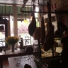 Diavola gallery