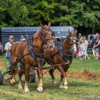 Washington County Rural Heritage Museum