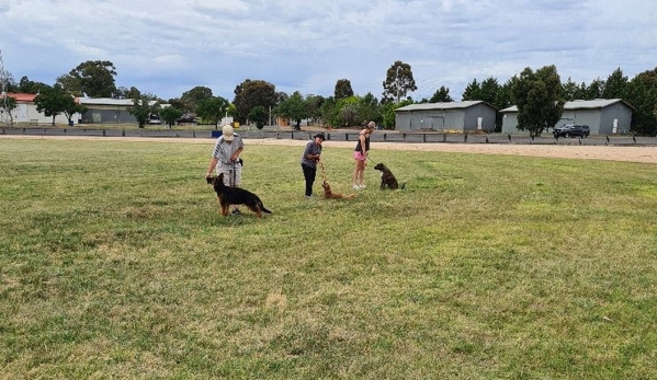 Lana's Dog Training - North Bendigo, VIC