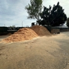USA Shavings gallery