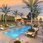 Homewood Suites by Hilton Phoenix Mesa Airport
