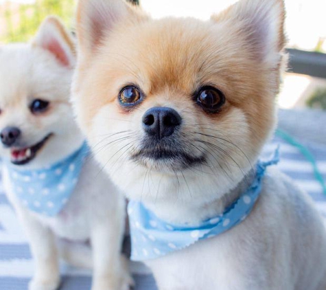 Woof Gang Bakery & Grooming Stonebriar - Plano, TX