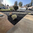 New Image Landscaping