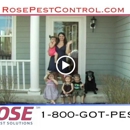 Rose Pest Solutions - Pest Control Services