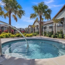 Canter Luxury Apartment Homes - Apartments