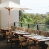 Alteño gallery