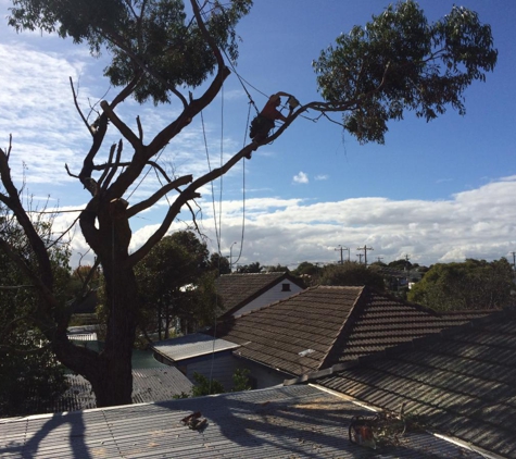 Cut It Right Tree Service - Mornington, VIC