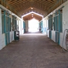 Reid and Associates Equine Medicine and Surgery gallery