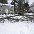 Woodeez Tree Service