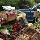 Orleans Farmers Market