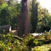 Pacific Northwest Tree Services gallery