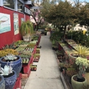 Deep Roots Garden Center - Garden Centers