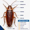 No To Bugs gallery